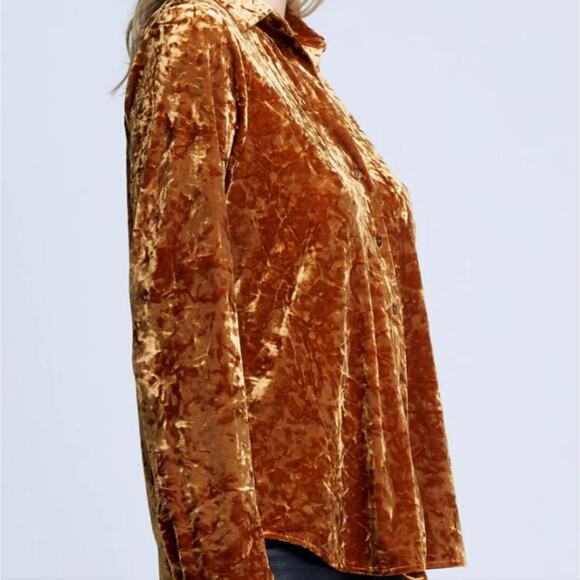 NWT L'Agence Laurent Crushed Velvet Burnout Button Down Blouse XS Khaki - Picture 2 of 11